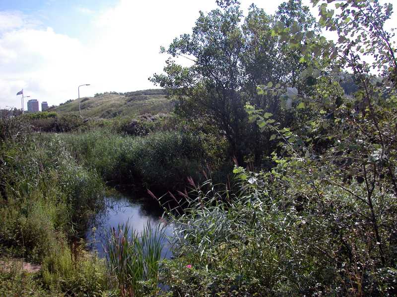 Krijn Giezen 'Haagse Beek' foto: Stroom Den Haag