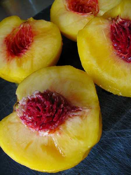 Foodporn blog Klary Koopmans