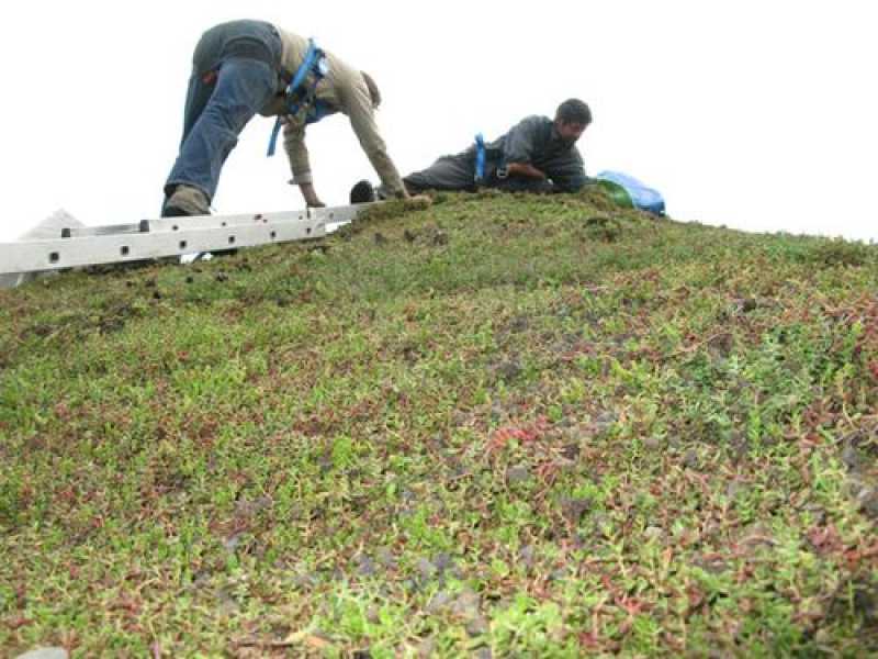 Paviljoen Eetbaar Park van Nils Norman, foto: Stroom Den Haag