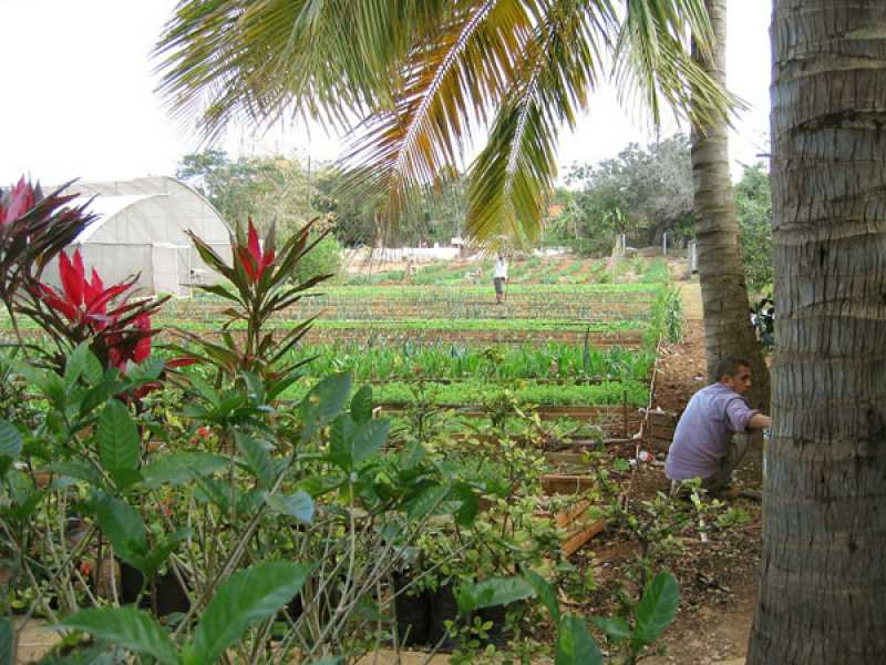 Still uit 'Borders in Our Mind', foto: Annechien Meier