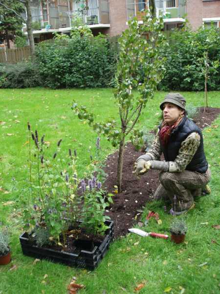 Opening Foodscape Schilderswijk, foto: Stroom Den Haag