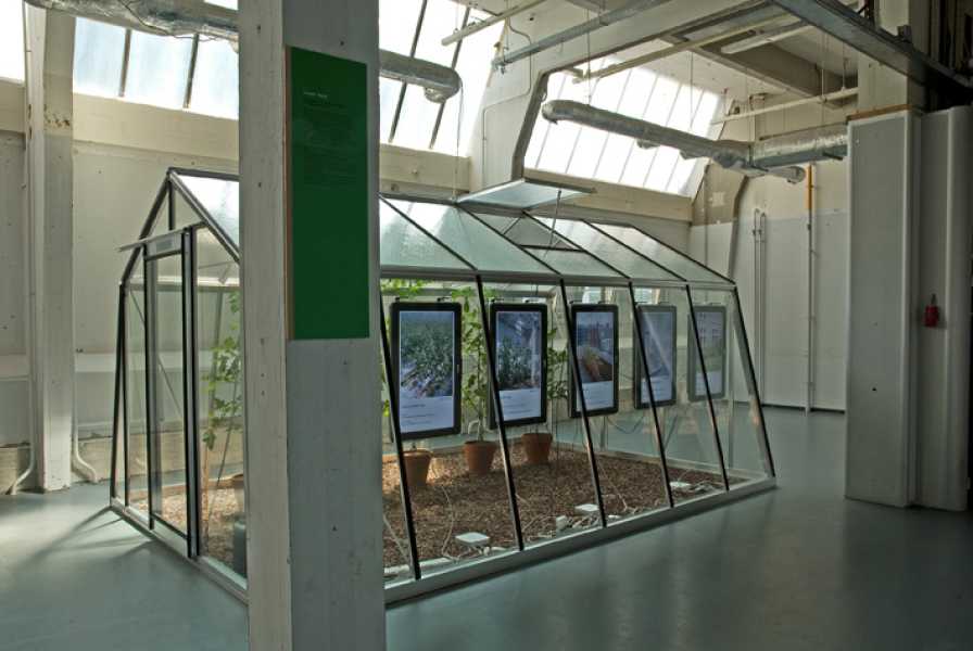 Driessens & Verstappen, 'Tomato Habitus' foto: Rob Kollaard