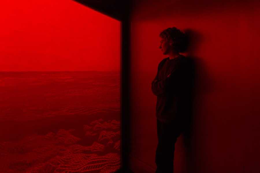 Dorine van Meel in front of the work 'Disobedient Children' (2016) foto: Tim Bowditch