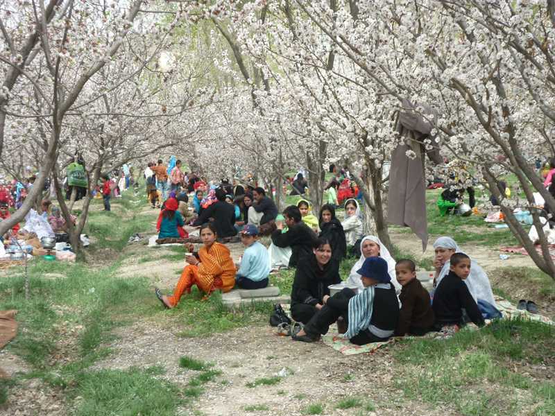 Een Skateistan team in de straten van Kabul foto: Skateistan