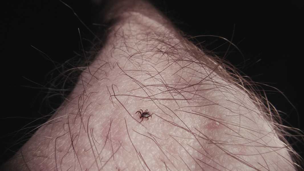 Dario di Paolantonio, 'The blind point', video still foto: courtesy the artist