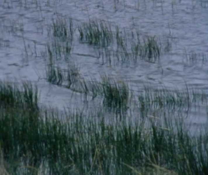 Lucy Cordes Engelman, 'The Temple of Nehalennia', video still foto: courtesy the artist