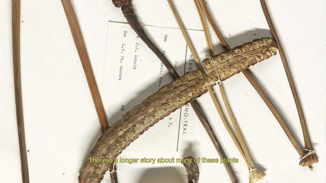 Natalia Sliwinska foto: courtesy the artist