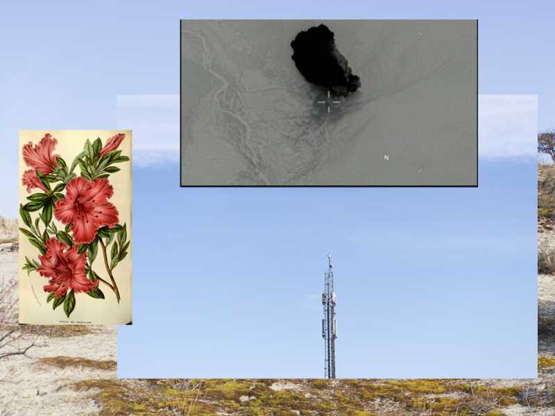 'Green Offshores' door Lodovica Guarnieri