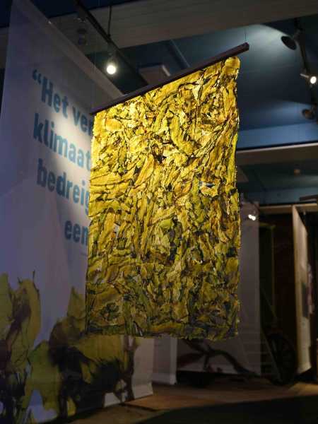 WEED @ Muzee Scheveningen