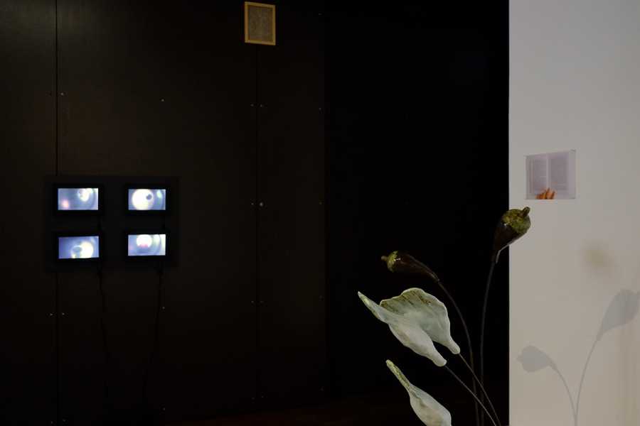 Positions: Leonie Brandner bij Stroom foto: Myung Feyen, courtesy Stroom Den Haag