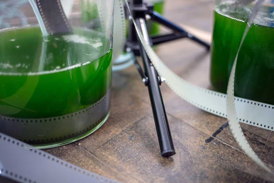 Risk Hazekamp, 'Experiment' foto: courtesy the artist