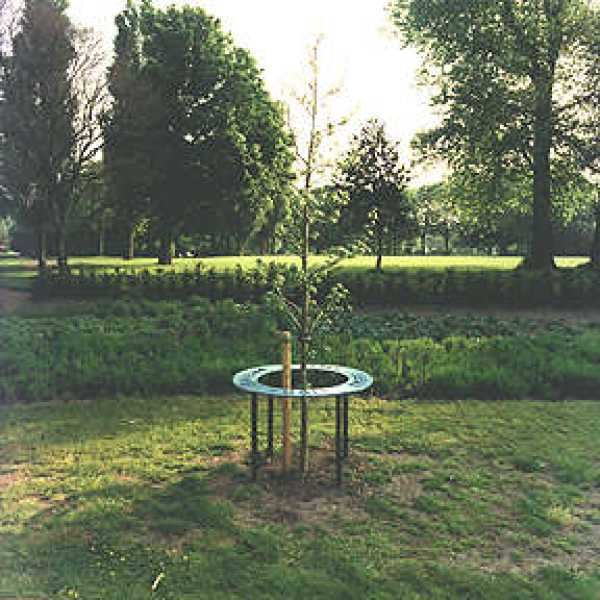 Willemien de Bruyn en Bert Haaitsma - Small trees, Sweet dreams