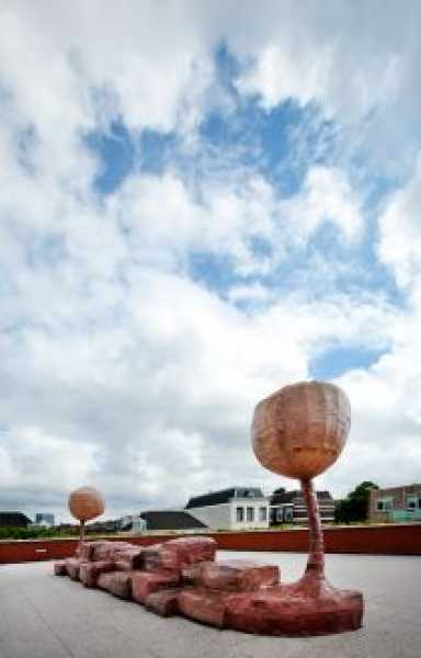 Nacho Carbonell, Johan de Witt College, 2011 foto: © Gert Jan van Rooij