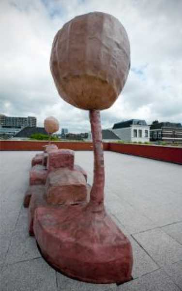 Nacho Carbonell, Johan de Witt College, 2011 foto: © Gert Jan van Rooij