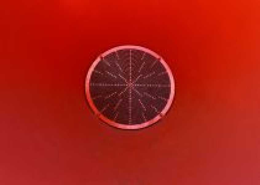 'Woofah', Bisscheroux & Voet foto: © Gert Jan van Rooij