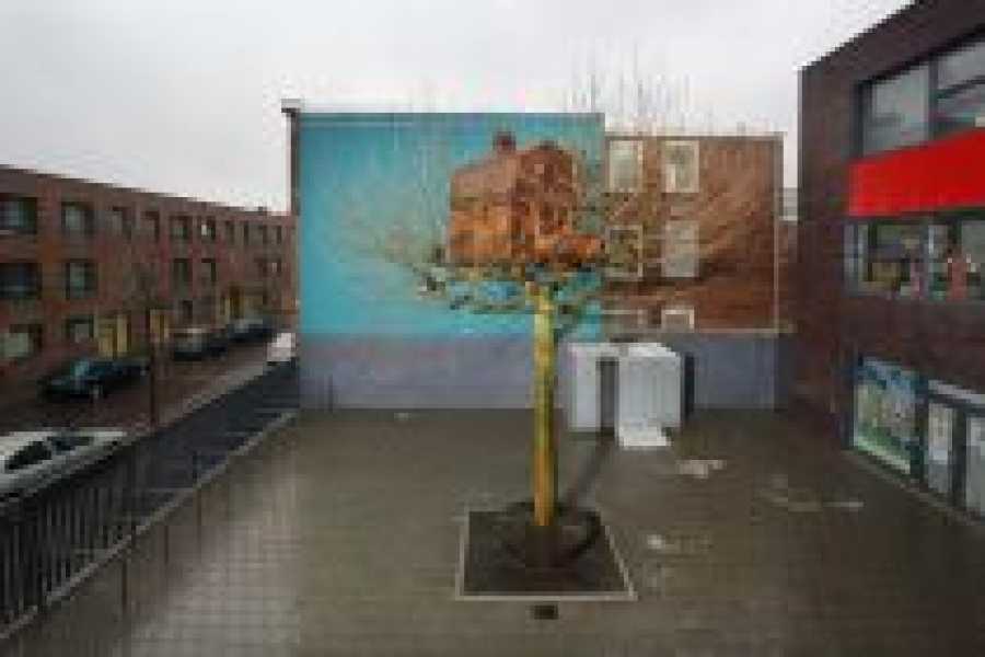 het tweede boomhuis foto: Frank Hanswijk