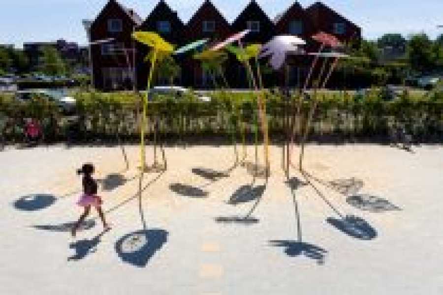 Oerwoud voor Ypenburg foto: Jorn van Eck