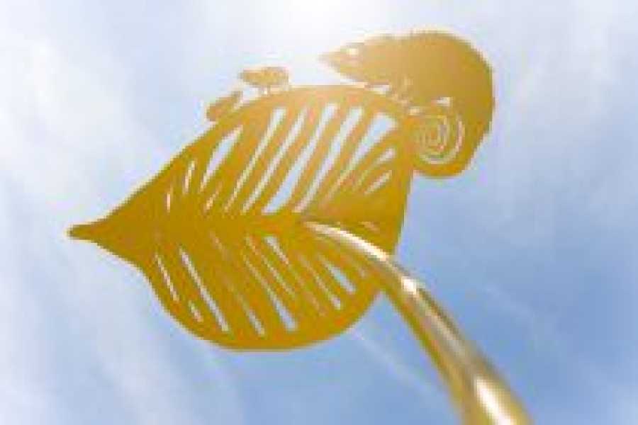 Oerwoud voor Ypenburg foto: Jorn van Eck