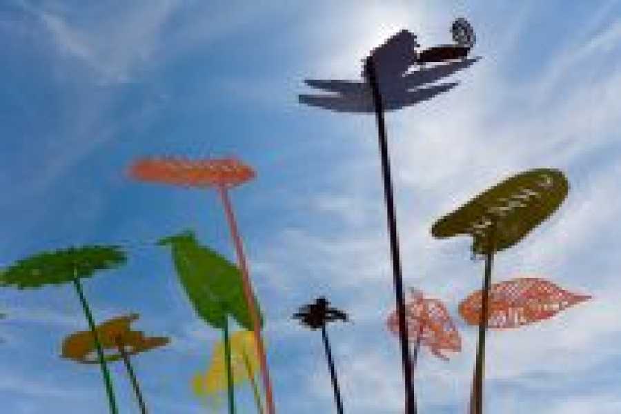 Oerwoud voor Ypenburg foto: Jorn van Eck