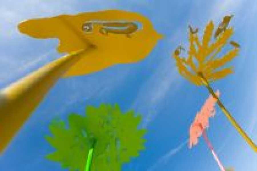 Oerwoud voor Ypenburg foto: Jorn van Eck