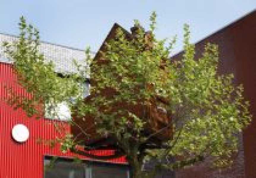 boomhuis in begin mei foto: Frank Hanswijk