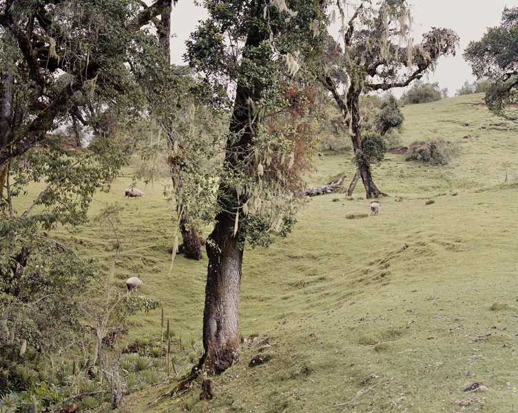 Eline Benjaminsen en Elias Kimaiyo, 'Footprints in the Valley', foto: courtesy the artist