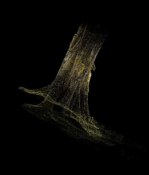 Eline Benjaminsen en Elias Kimaiyo, 'Footprints in the Valley', foto: courtesy the artists